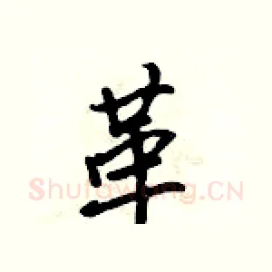革