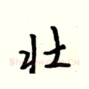 壮