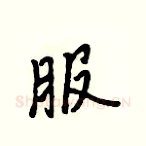 服