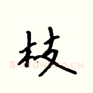 枝