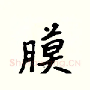 膜