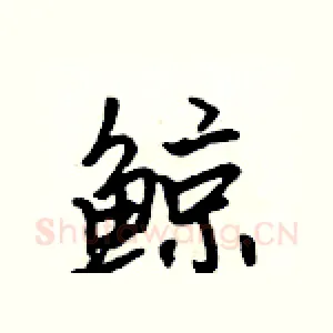 鲸
