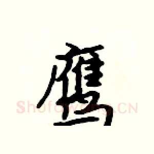 鹰