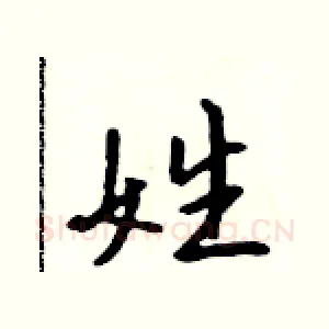 姓