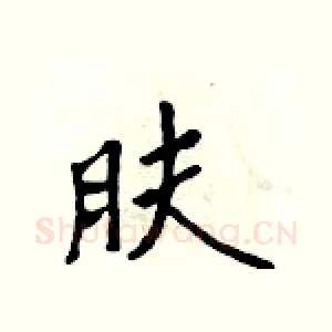 肤