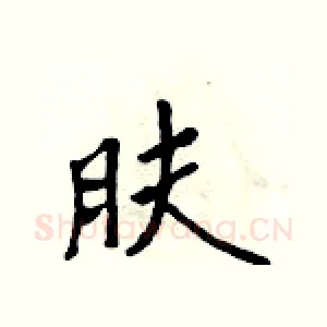 肤