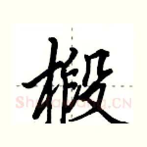 椴
