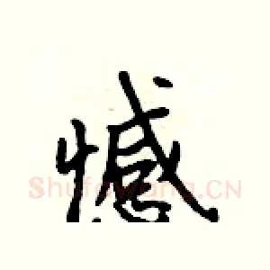 憾