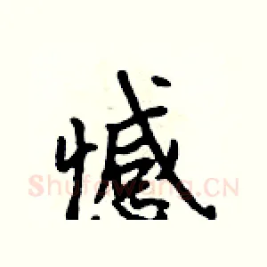 憾