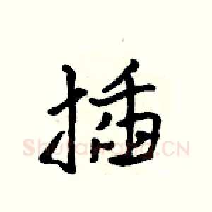 插