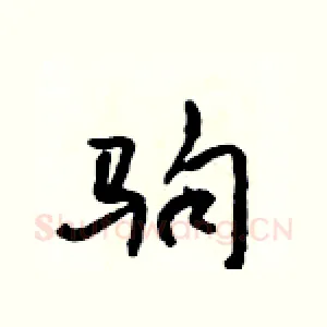 驹