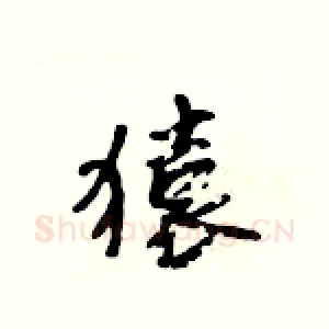 猿