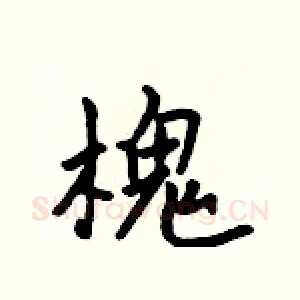 槐