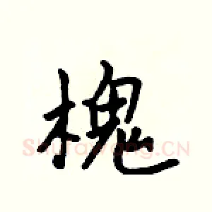 槐