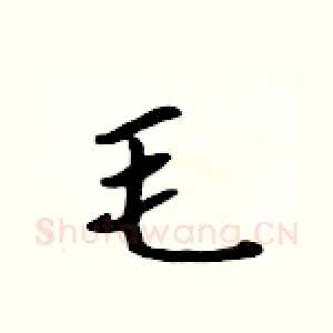 毛