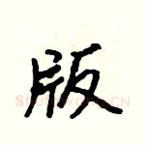 版