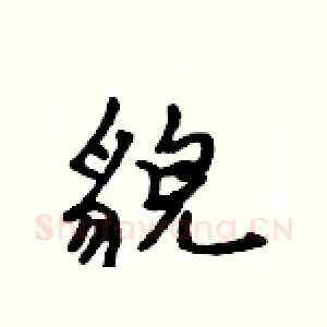 貌