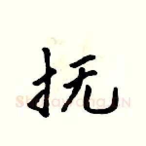 抚
