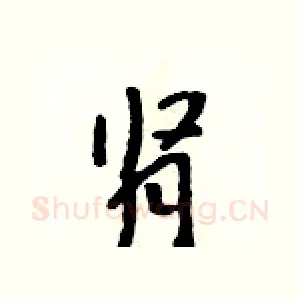 肾