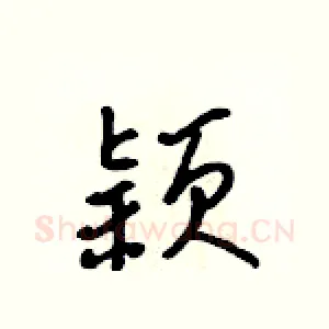 颖