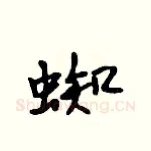 蜘