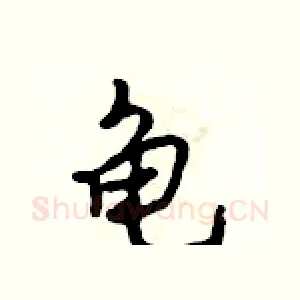 龟