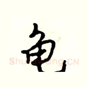龟