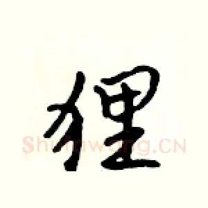 狸