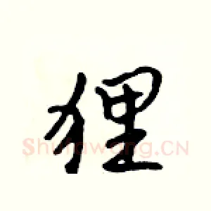 狸