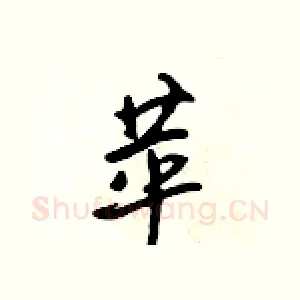 苹