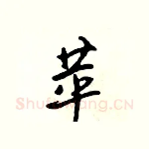苹