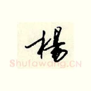 杨