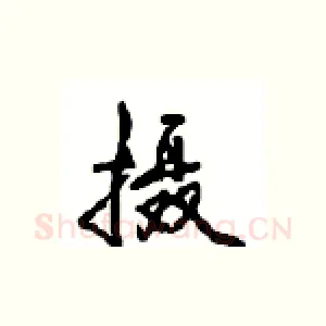 摄
