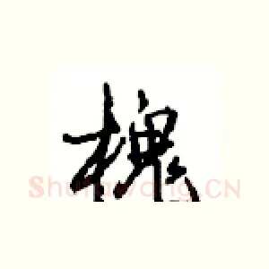 槐