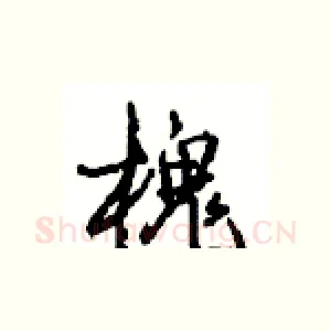 槐