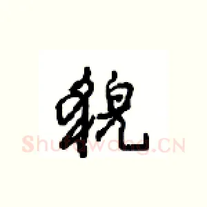 貌