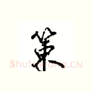 策