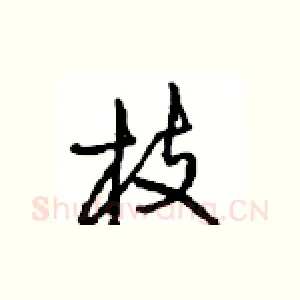 枝