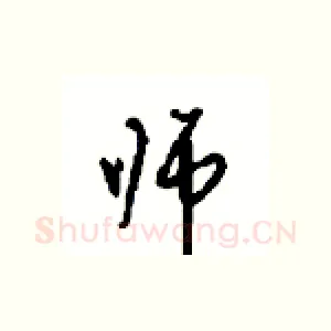 师