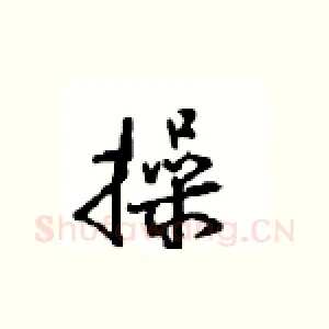 操