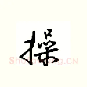操