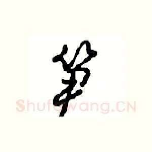 笋