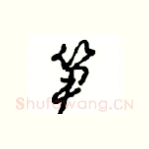 笋