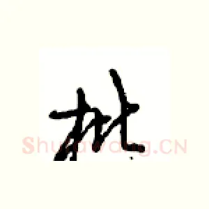 枇