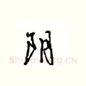 阴