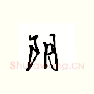 阴