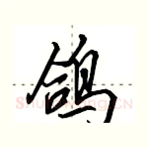 鸽