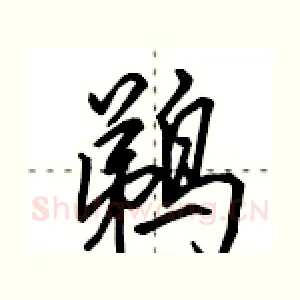 鹈