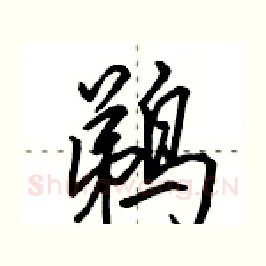 鹈