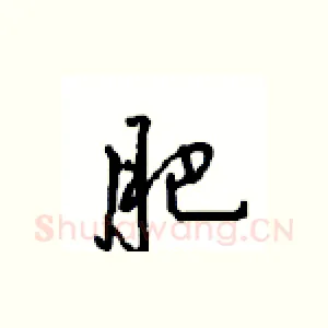 肥